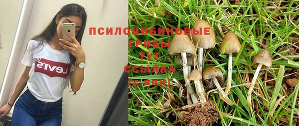 героин Богородицк