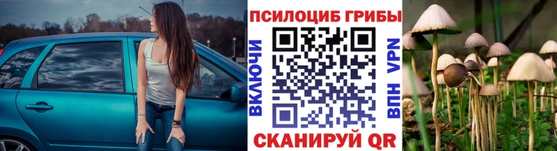 OMG сайт Благовещенск Псилоцибиновые грибы MAGIC MUSHROOMS купить наркотики сайты
